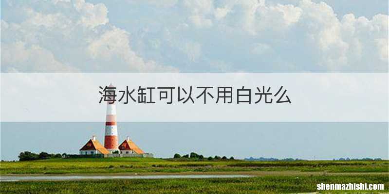 海水缸可以不用白光么