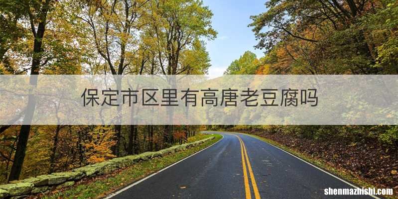 保定市区里有高唐老豆腐吗