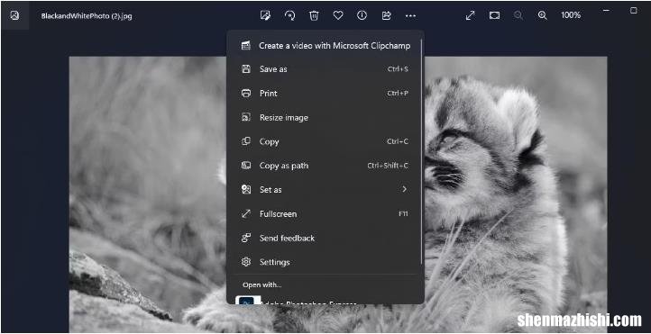 在Windows11中调整图像大小的6种方法