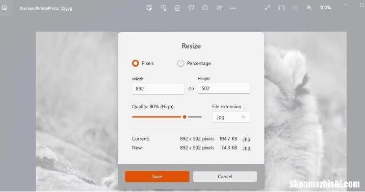 在Windows11中调整图像大小的6种方法