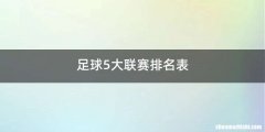 足球5大联赛排名表