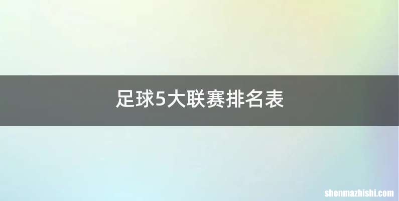 足球5大联赛排名表