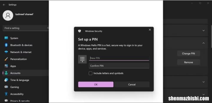如何修复Windows11中灰显的删除PIN选项