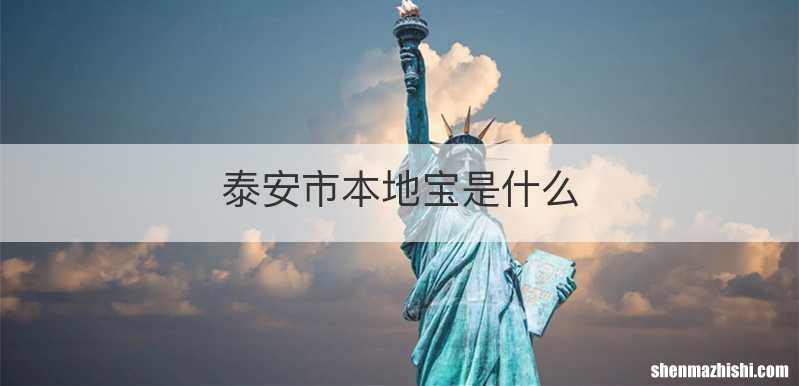 泰安市本地宝是什么