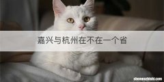 嘉兴与杭州在不在一个省