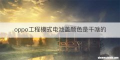 oppo工程模式电池盖颜色是干啥的
