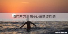 海底两万里第44.45章读后感