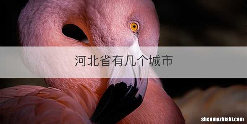 河北省有几个城市