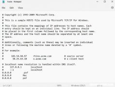 什么是Hosts文件，如何在Windows中编辑它？
