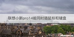 联想小新pro14能同时插鼠标和键盘