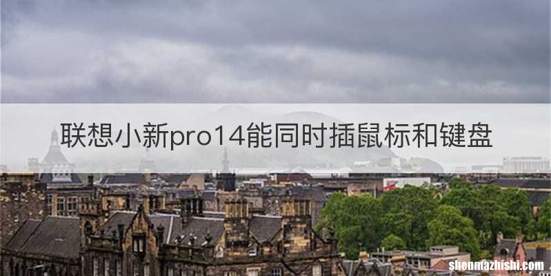 联想小新pro14能同时插鼠标和键盘