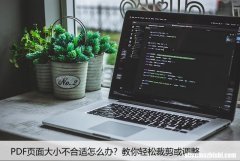 PDF页面大小不合适怎么办？教你轻松裁剪或调整