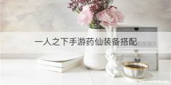 一人之下手游药仙装备搭配
