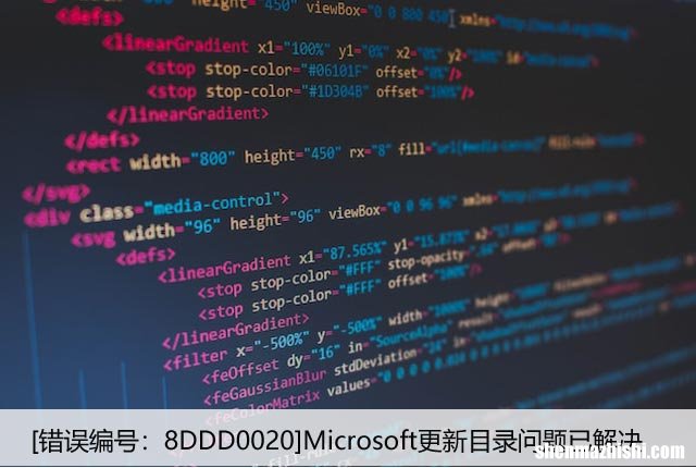 [错误编号：8DDD0020]Microsoft更新目录问题已解决