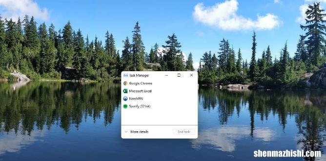 如何在Windows10中删除另一个程序正在使用的文件