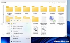 如何在Windows11中检查文件夹的存储使用情况