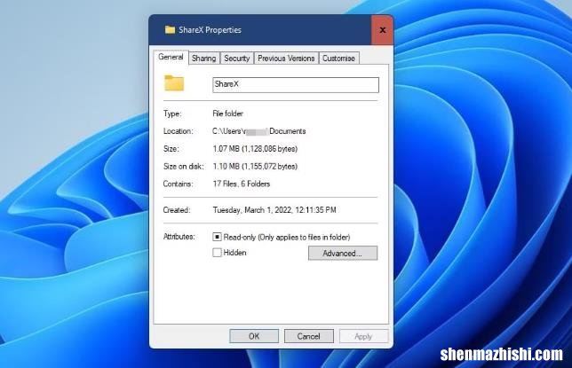 如何在Windows11中检查文件夹的存储使用情况