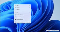 Windows11主题配色方案教程，让你的电脑更有个性