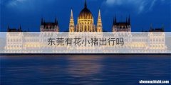 东莞有花小猪出行吗