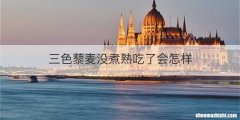 三色藜麦没煮熟吃了会怎样