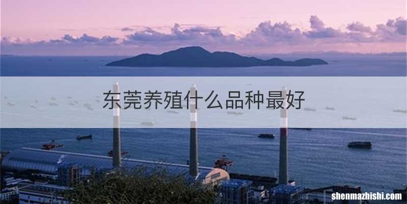 东莞养殖什么品种最好