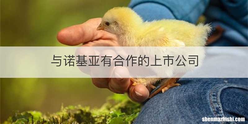 与诺基亚有合作的上市公司
