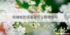 按键版的诺基亚可以聊微信吗