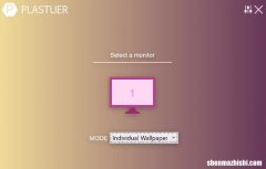 如何在Windows10和11中将动画GIF设置为壁纸
