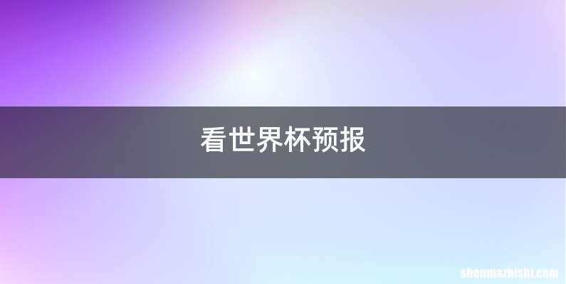 看世界杯预报