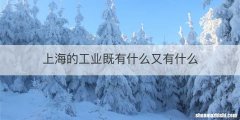 上海的工业既有什么又有什么