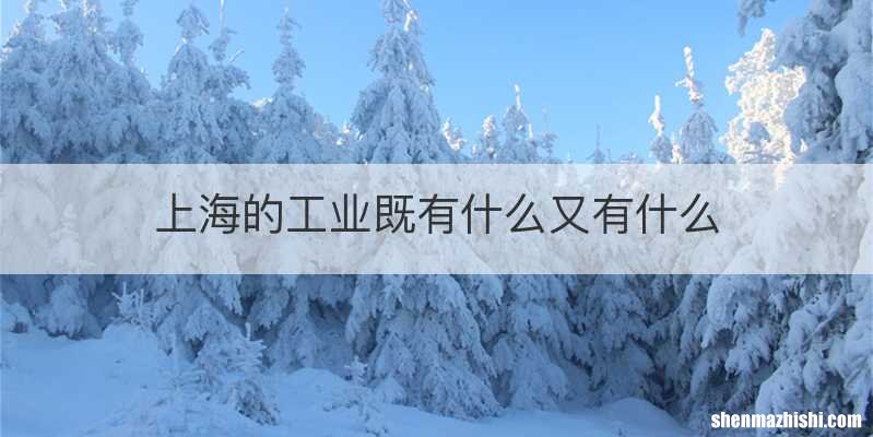 上海的工业既有什么又有什么