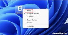 如何在Windows11上恢复已删除的文件，4种方法