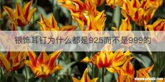 银饰耳钉为什么都是925而不是999的