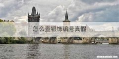 怎么查银饰编号真假