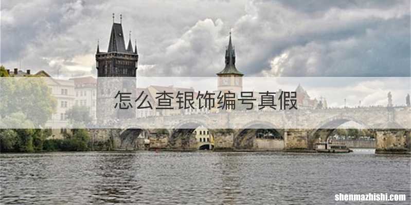 怎么查银饰编号真假