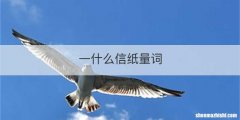 一什么信纸量词