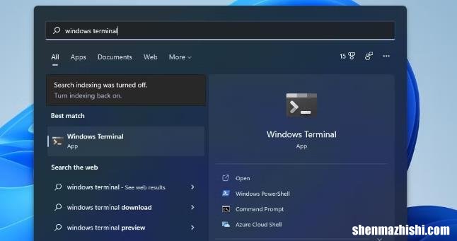 在Windows11中打开Windows终端的8种方法
