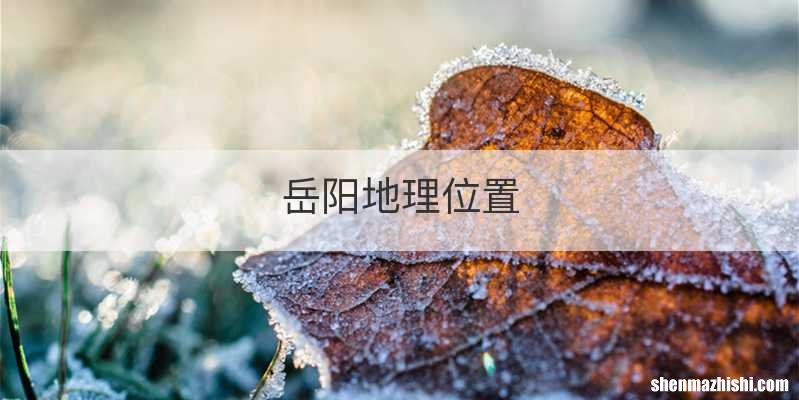 岳阳地理位置