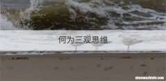 何为三观思维