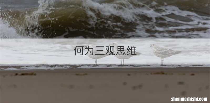 何为三观思维