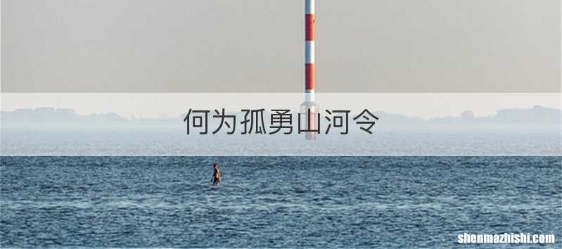 何为孤勇山河令