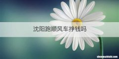 沈阳跑顺风车挣钱吗