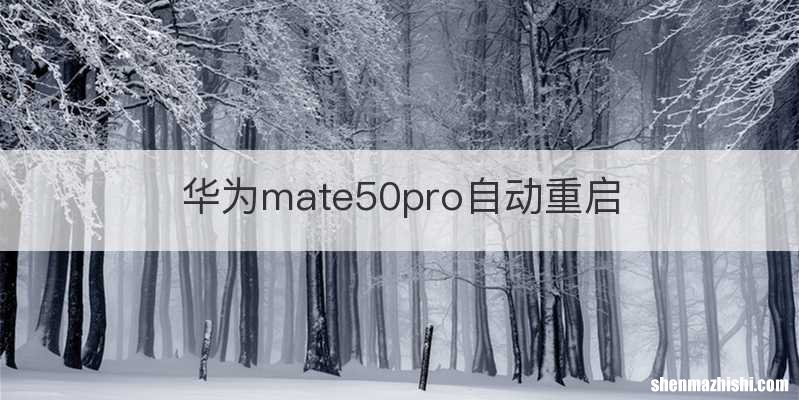 华为mate50pro自动重启