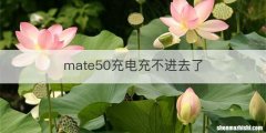 mate50充电充不进去了