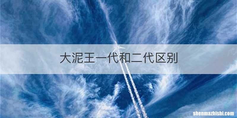 大泥王一代和二代区别