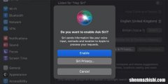 如何在Mac上使用Siri：快速入门指南