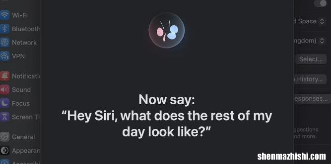 如何在Mac上使用Siri：快速入门指南