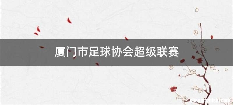 厦门市足球协会超级联赛
