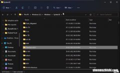 如何在Windows11中启用天气小部件，设置教程