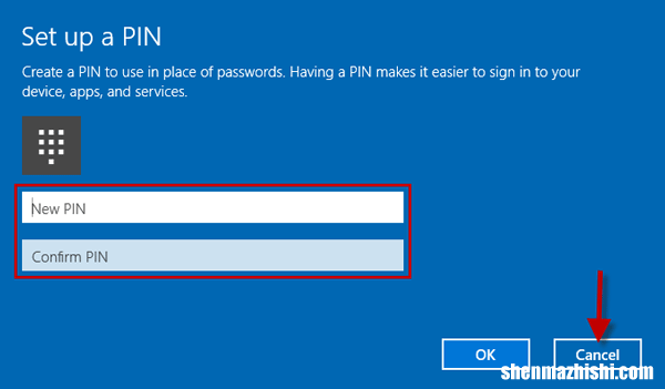 如何在Windows10中删除忘记的PIN